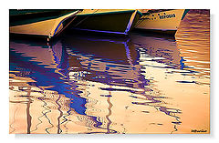 photo "more reflexes"
