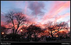 photo "Absolute Power"