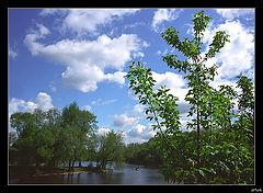 photo "summer etude"