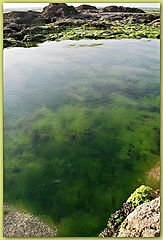 photo "Water world"