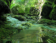 photo "fairy waterfall"