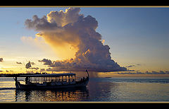photo "DHONI."