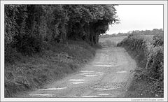 photo "Country Lane"