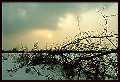 photo "Winter view"