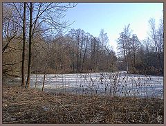 photo "Spring"