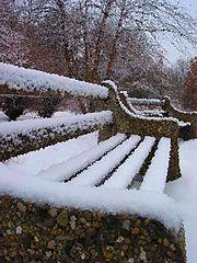 photo "painted winter"