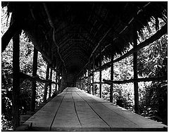 photo "Perspective"