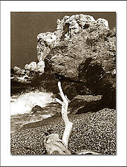 фото "Untitled"