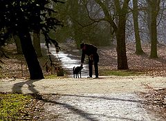 photo "Sunday walk"