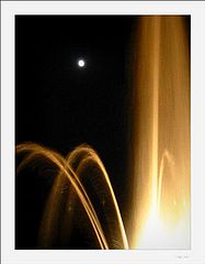 photo "Night Flirts"