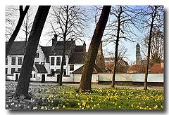 фото "Bruges, beguinage"