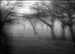 photo "(III)"