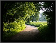 photo "Evening In A Park"