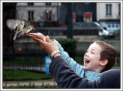 photo "The kid and the bird"