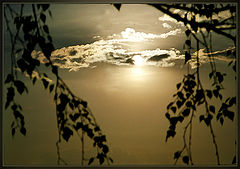 photo "Before The Down"