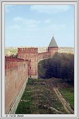 photo "Sitting high, looking far"