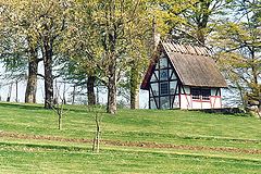фото "The House"