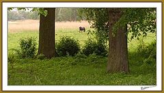 photo "Fantastic morning..."