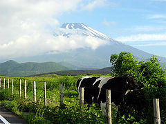 photo "Pastoral Mountain"