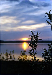 photo "****"