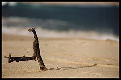 фото "waiting"