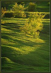 фото "Evening"