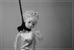 photo "queen suicide"