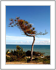 фото "Alone at the Beach !"