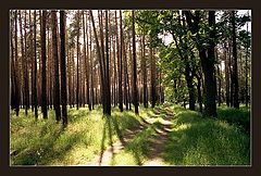фото "Spreewald"