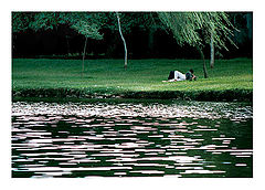 photo "In Love"