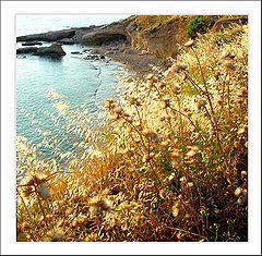 фото "The beach"