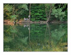 photo "Fishing"