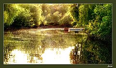 photo "Silent a channel"