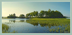 photo "Untitled photo"