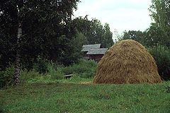 photo "Stack"