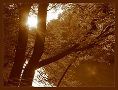 photo "*****"