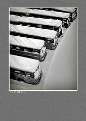 фото "герои асфальта"