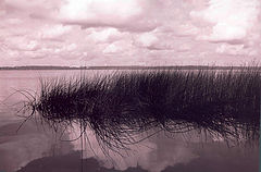 photo "Seneg"