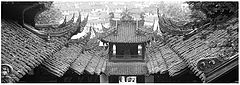 фото "roofs 3"