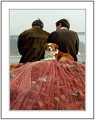 фото "The Friendship of a Dog."