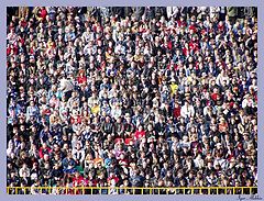 photo "Tribune"