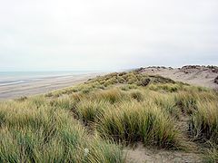 photo "de panne"