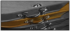 photo "Untitled photo"