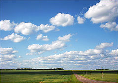 photo "Untitled photo"