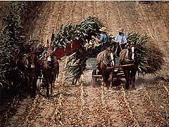 photo "The farmer"