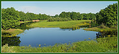photo "Untitled photo"