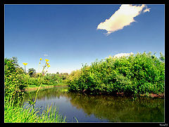 photo "***"