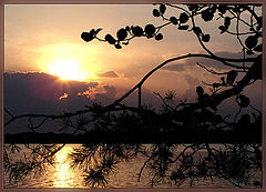 photo "***"