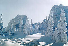 фото "НАРЫ"