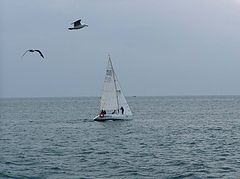 photo "Yacht"